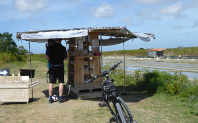 Dans les marais le sel est en libre-service